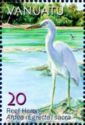 Pacific Reef Heron (Egretta sacra)